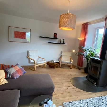 Helles, Gemuetliches Haus Mit Moselblick Villa Mueden Ngoại thất bức ảnh