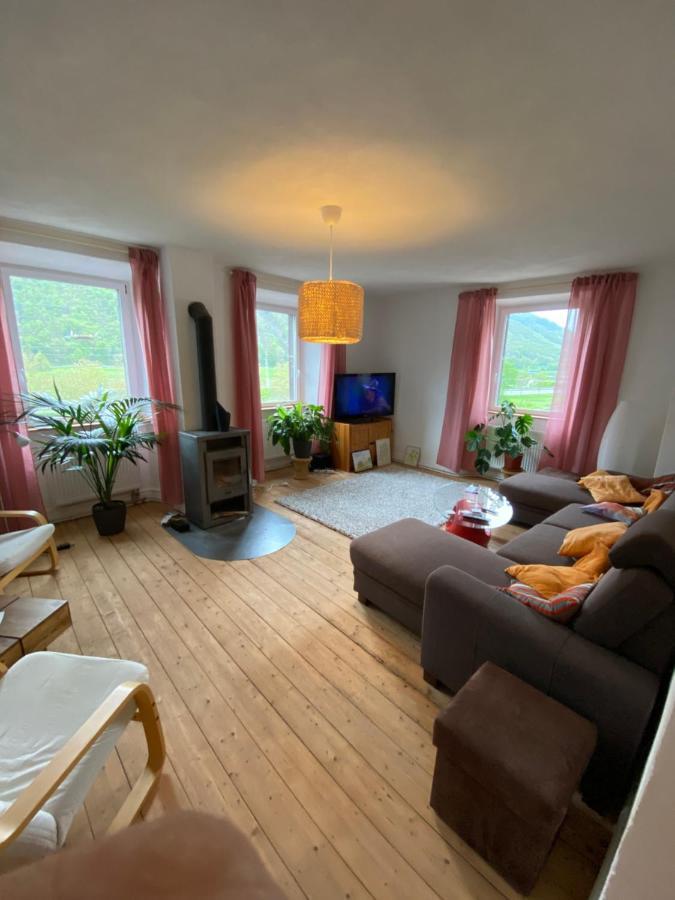 Helles, Gemuetliches Haus Mit Moselblick Villa Mueden Ngoại thất bức ảnh