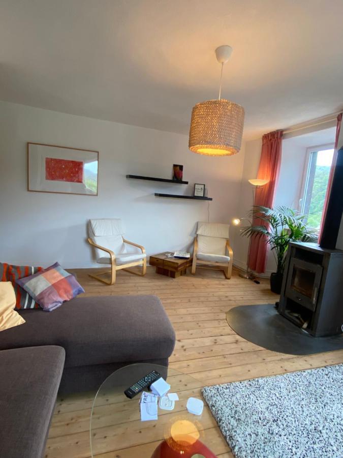 Helles, Gemuetliches Haus Mit Moselblick Villa Mueden Ngoại thất bức ảnh