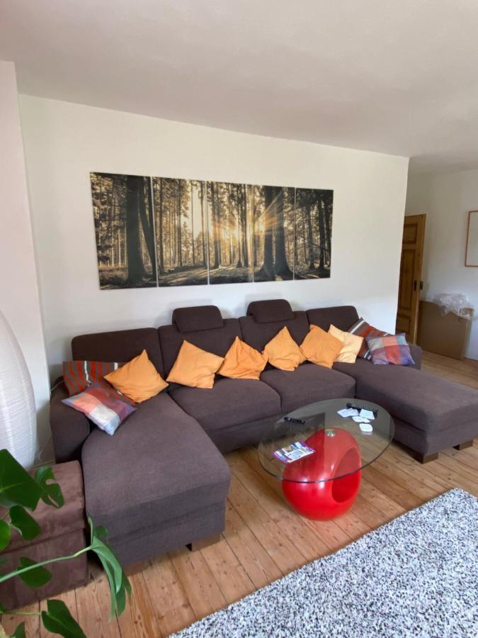 Helles, Gemuetliches Haus Mit Moselblick Villa Mueden Ngoại thất bức ảnh